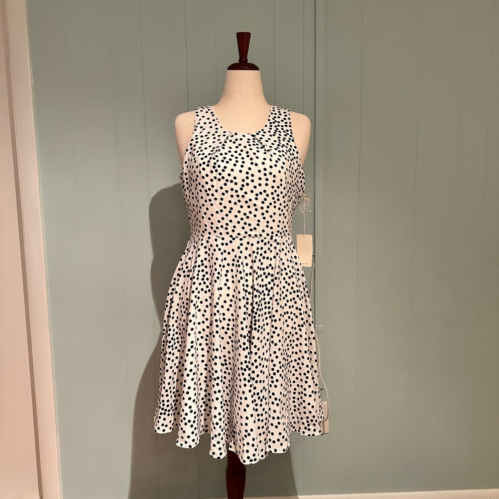41 Hawthorn White Black Fit and Flare Midi Dress